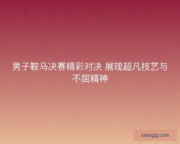 男子鞍马决赛精彩对决 展现超凡技艺与不屈精神