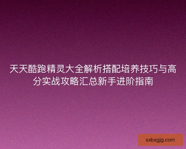 天天酷跑精灵大全解析搭配培养技巧与高分实战攻略汇总新手进阶指南