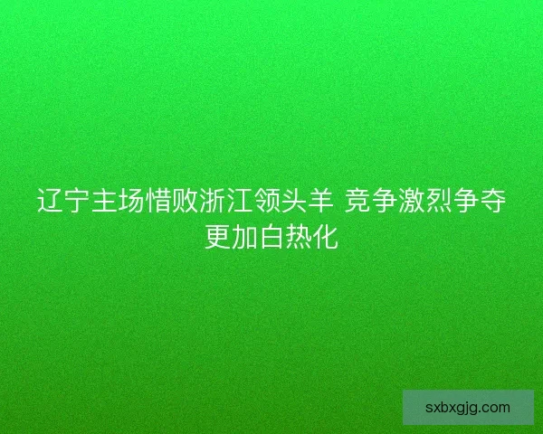 辽宁主场惜败浙江领头羊 竞争激烈争夺更加白热化