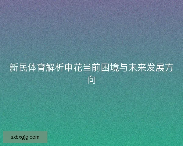 新民体育解析申花当前困境与未来发展方向